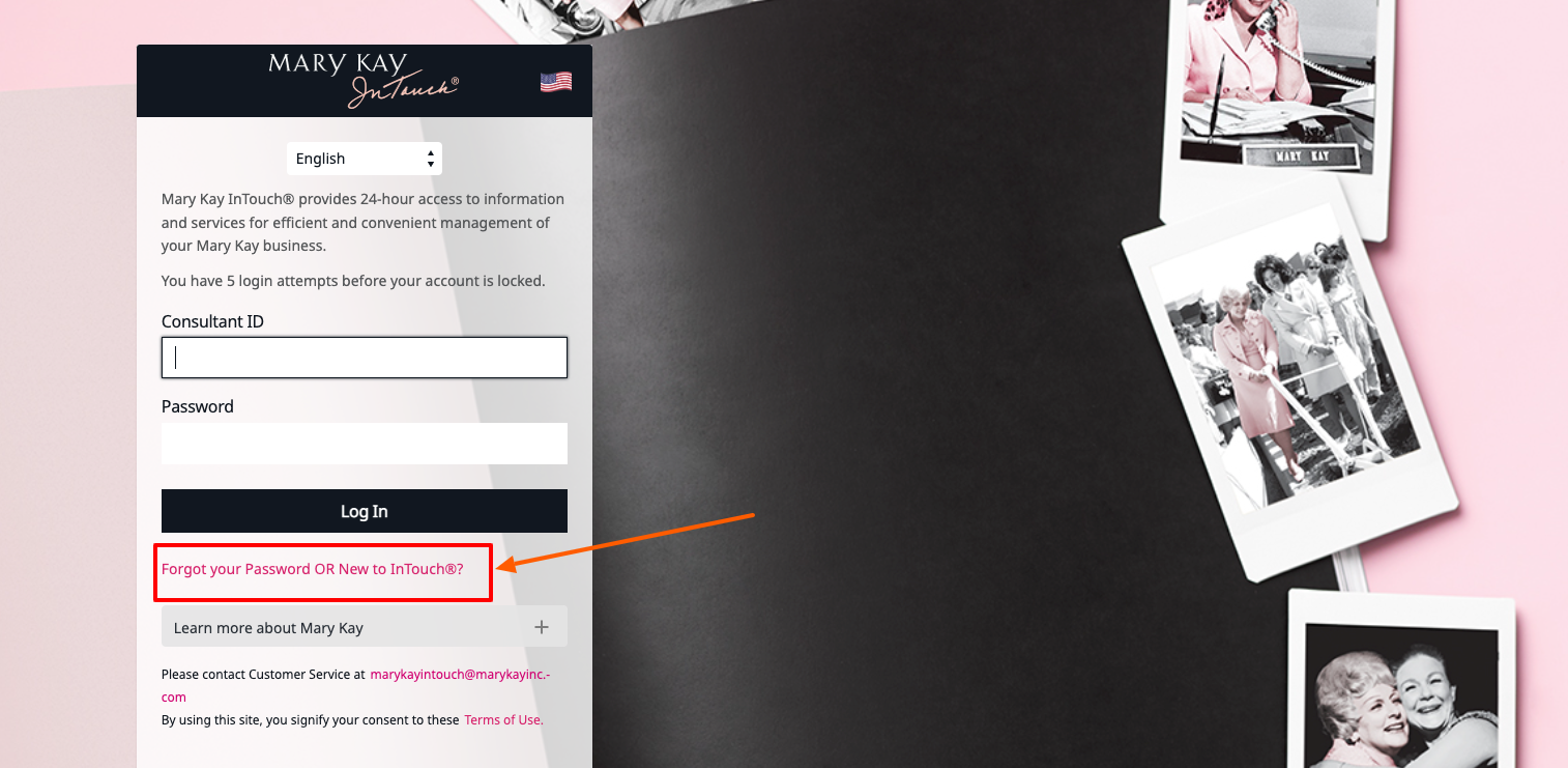 mary kay beauty consultant forgot password
