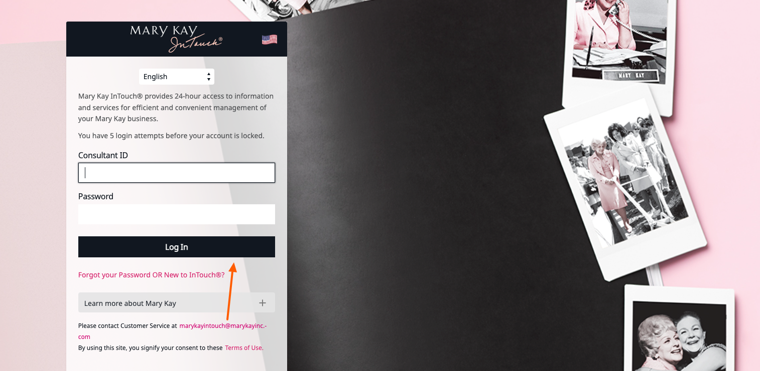 mary kay beauty consultant login